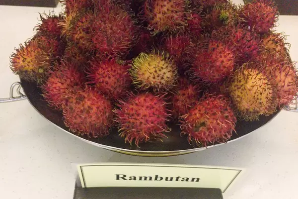 Rambutan