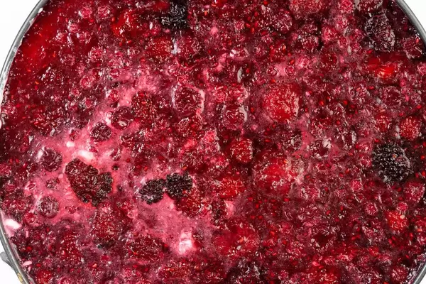 Raspberry Cheese Cake closeup view