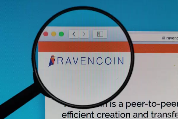 Ravencoin logo under magnifying glass