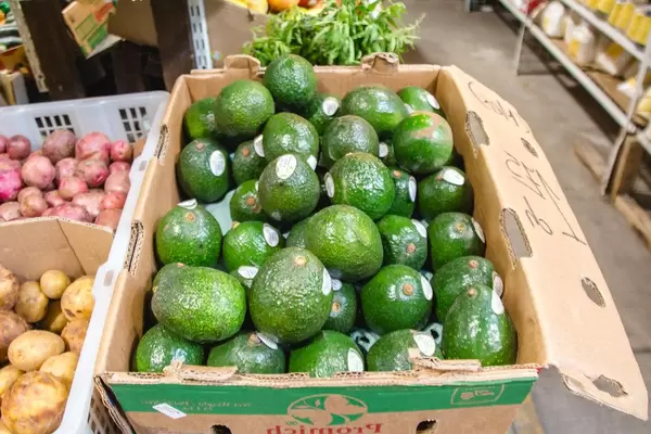 Raw Avocado in a box at the market  (Flip 2019)