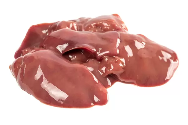 Raw chicken liver on white background