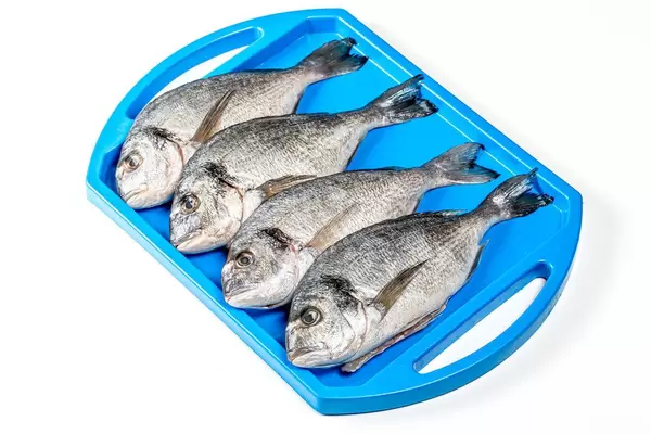 Raw Dorado fish on a blue tray. The view from the top (Flip 2020)