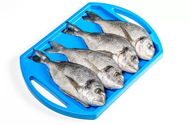 Raw Dorado fish on a blue tray. The view from the top