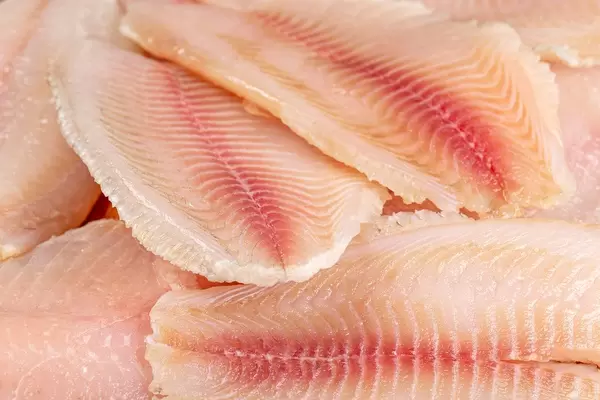 Raw frozen tilapia fillet background