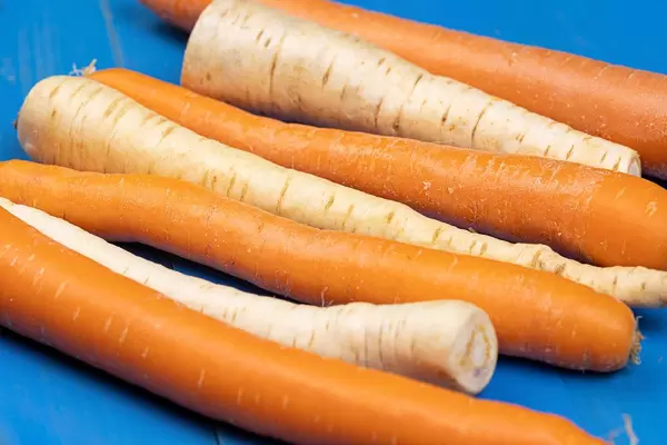 Raw Parsnip and Carrot on the blue wooden background
