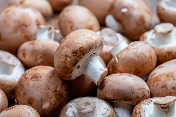 Raw royal mushrooms (Flip 2019)