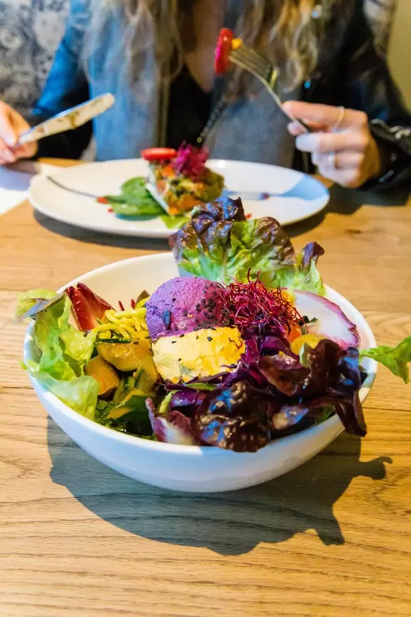 Raw Superbowl mit bunter Rohkost, Rotkohlhummus und Orangenhummus auf Krautsalat im Flex&Kale Restaurant in Barcelona