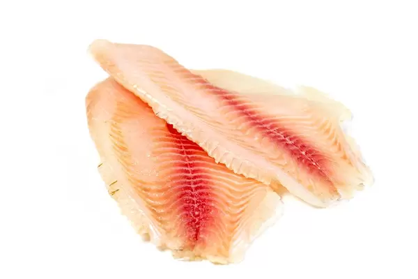 Raw tilapia fillet on white background