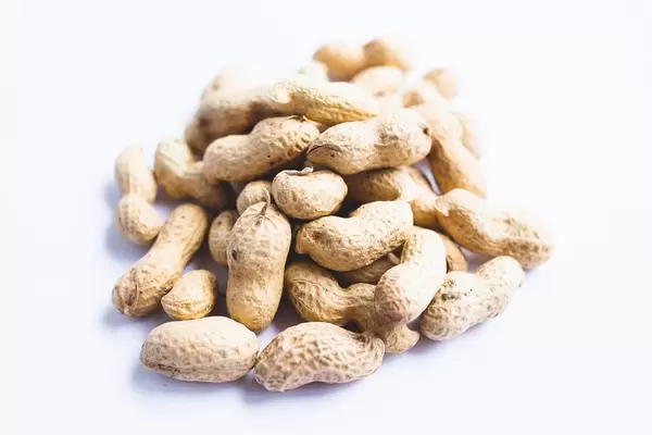 Raw whole peanuts in shell on white background