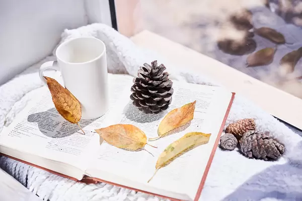 Reading a book and drinking a tea in a bright autumn day