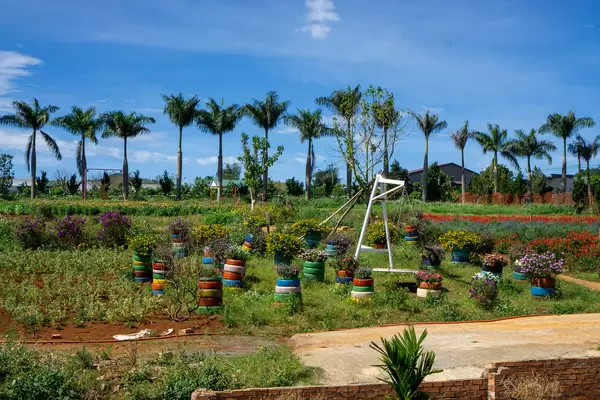 Recycled Car Tires as Plant Pots with Colorful Flowers around a Swing in a Flower Garden at Me Linh Cafe in Dalat, Vietnam