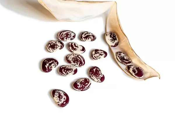 Red and white beans with pod on white background