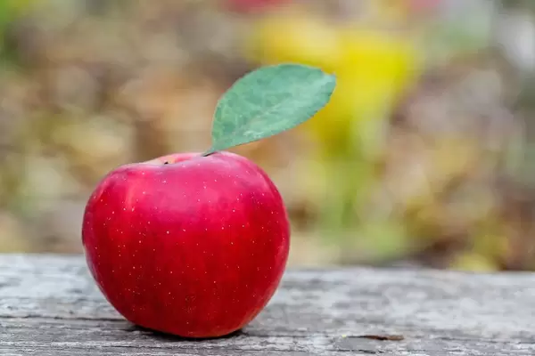 Red Apple with green leaf