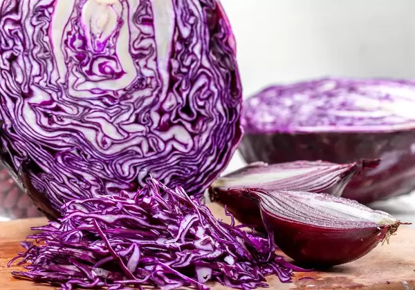 Red cabbage and onions cut close-up (Flip 2019)