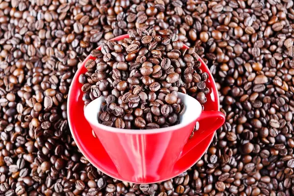 Red cup of coffee and coffee beans everywhere (Flip 2019)