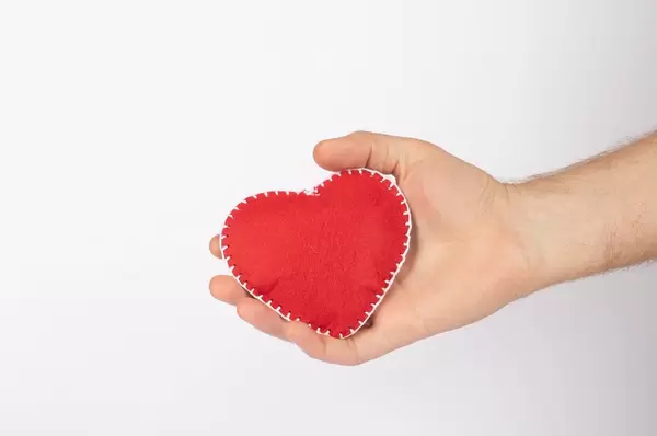 Red heart in hand on white background (Flip 2019)