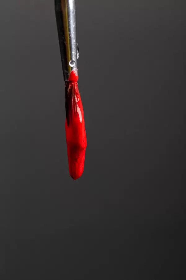 Red paint drips down a brush on a black background
