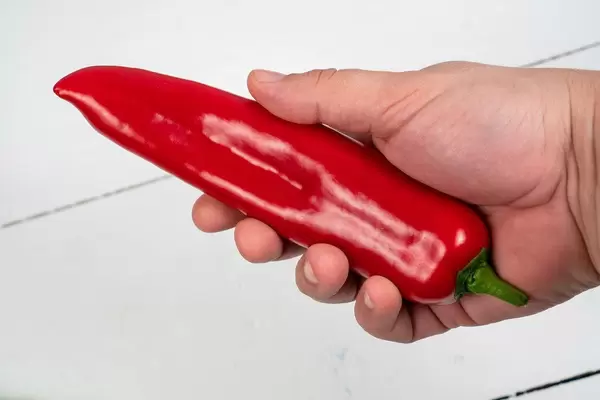 Red Paprika in the hand above white wooden table (Flip 2020)
