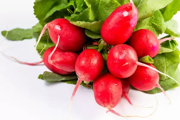 Red Radishes above white background