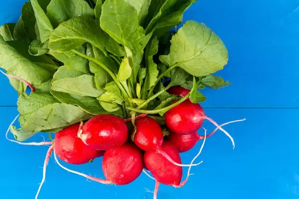 Red Radishes on the blue wooden board (Flip 2019)