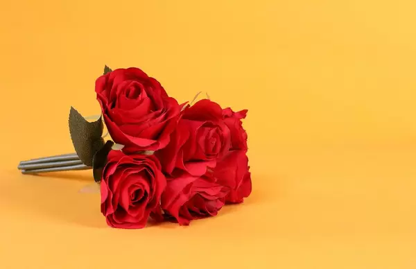 Red rose flowers on orange background