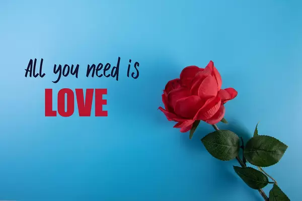 Red rose with All you need is love text on blue background