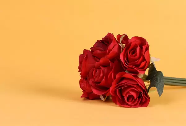 Red roses on orange background