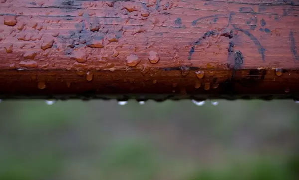 Regentropfen / Rain drops