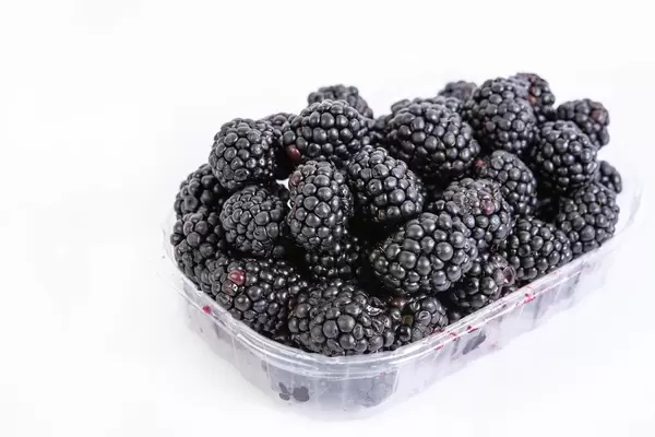 Reife Brombeeren in einer Plastikverpackung aus dem Supermarkt, isoliert vor weißem Hintergrund