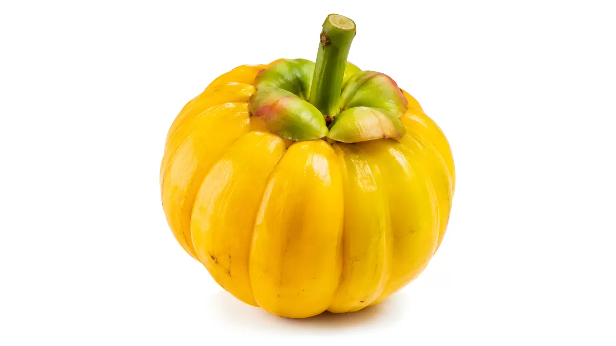 Reife Garcinia Cambogia Frucht auf weißem Hintergrund