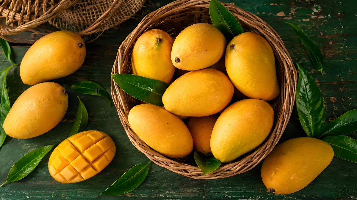 Reife gelbe Mangos im Korb mit grünen Blättern