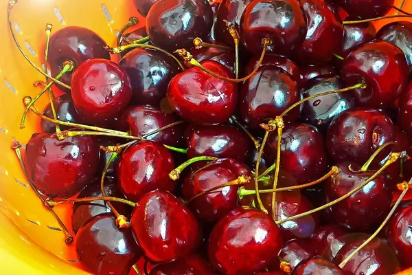 Reifes und gewaschenes Obst aus dem heimischen Garten