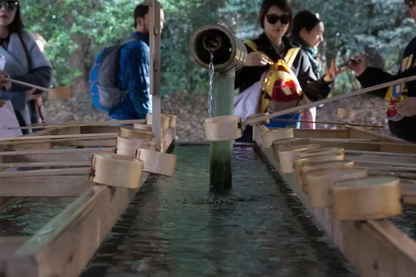 Reinigungsritual im Meiji-Schrein, Tokyo