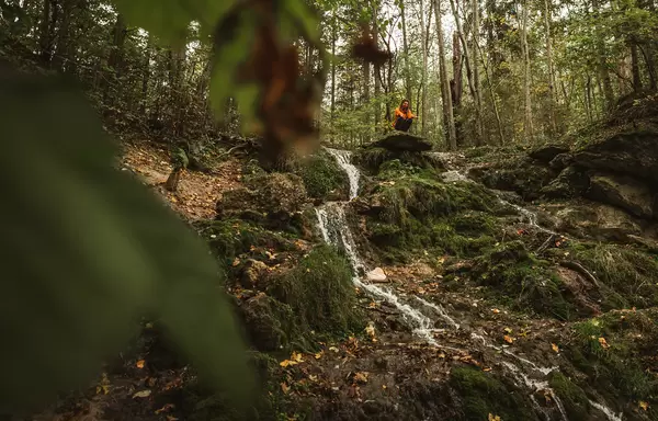 Relax In The Misty Forest Scene With Waterfall