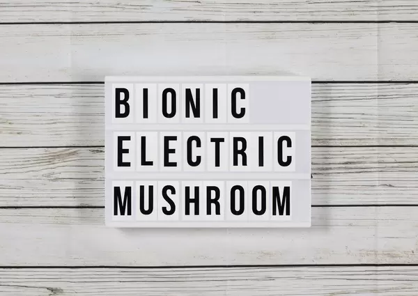 Researchers Create Bionic Mushroom with Graphene and 3D Printed Cyanobacteria