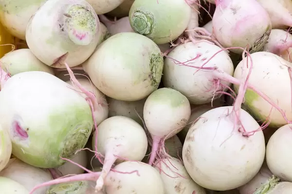 Rettiche - City Market, Chicago