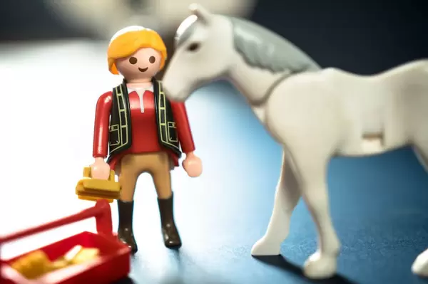 Rider preparing to brush her horse