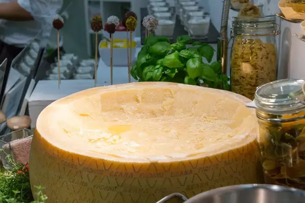 Riesiger Käselaib Grana Padano