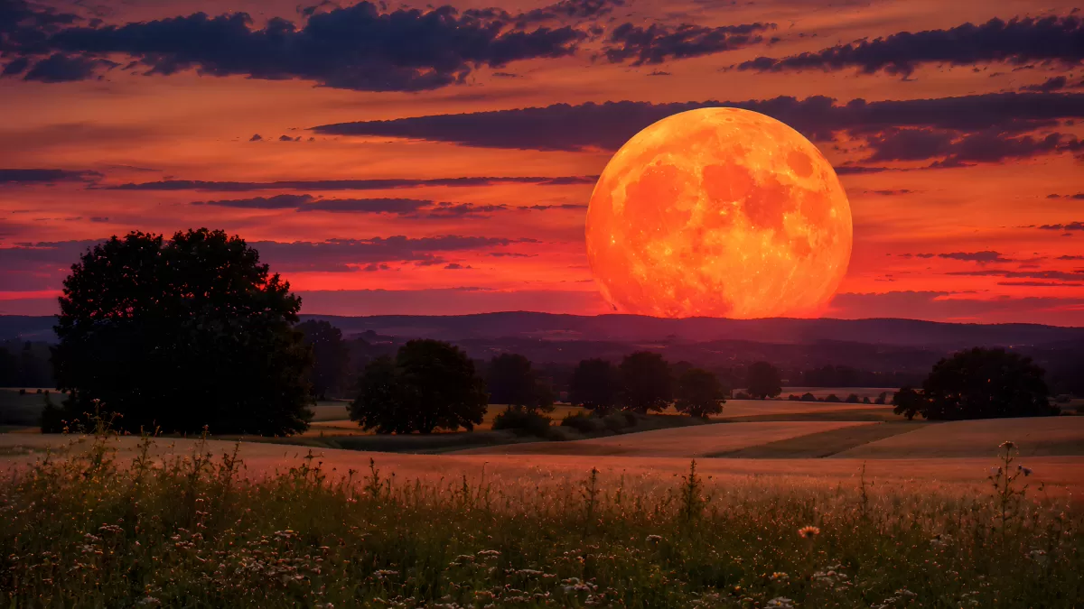 Riesiger Vollmond über sommerlicher Landschaft im Abendrot
