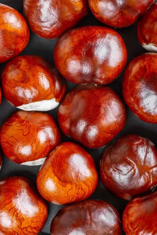 Ripe brown chestnuts close up