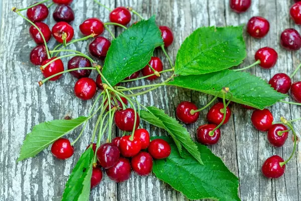 Ripe cherries with leaves on old wooden background