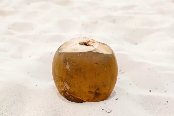 Ripe coconut at the sand