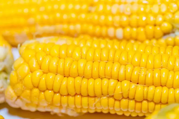 Ripe corn heads  Flip 2019