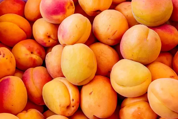 Ripe orange apricots background