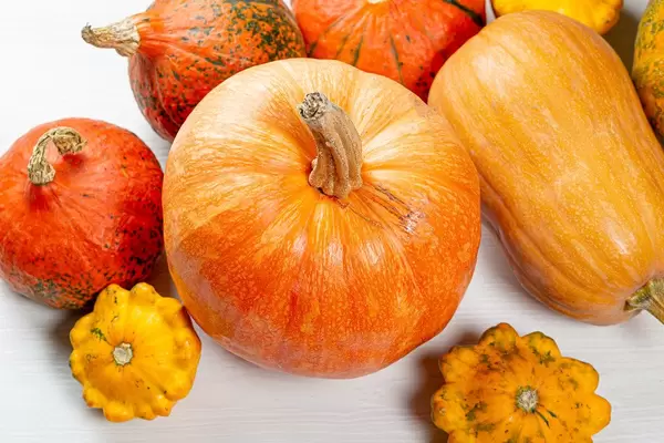 Ripe pumpkins on a white wooden background. Top view