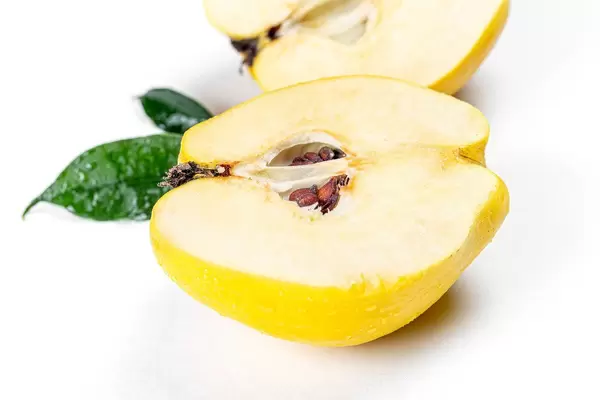 Ripe quince halves with leaves and water drops (Flip 2020)