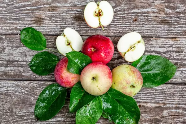 Ripe red and green apples with leaves on grey wooden background