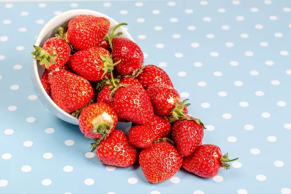 Ripe red strawberries fall out of the bowl on a blue background