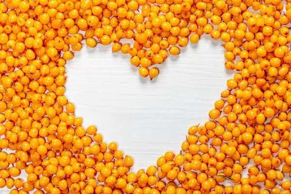 Ripe sea-buckthorn berries with a free space in the middle, in the shape of a heart (Flip 2019)