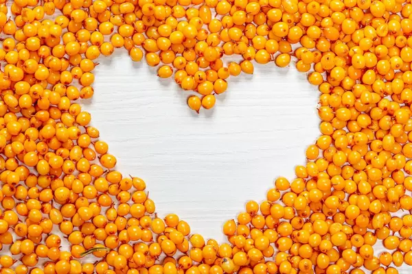 Ripe sea-buckthorn berries with a free space in the middle, in the shape of a heart
